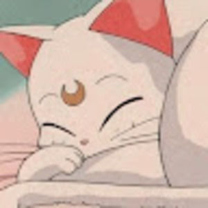 Meet your Posher, 이주원